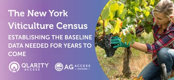 New York Wine and Grape Foundation Survey (1)